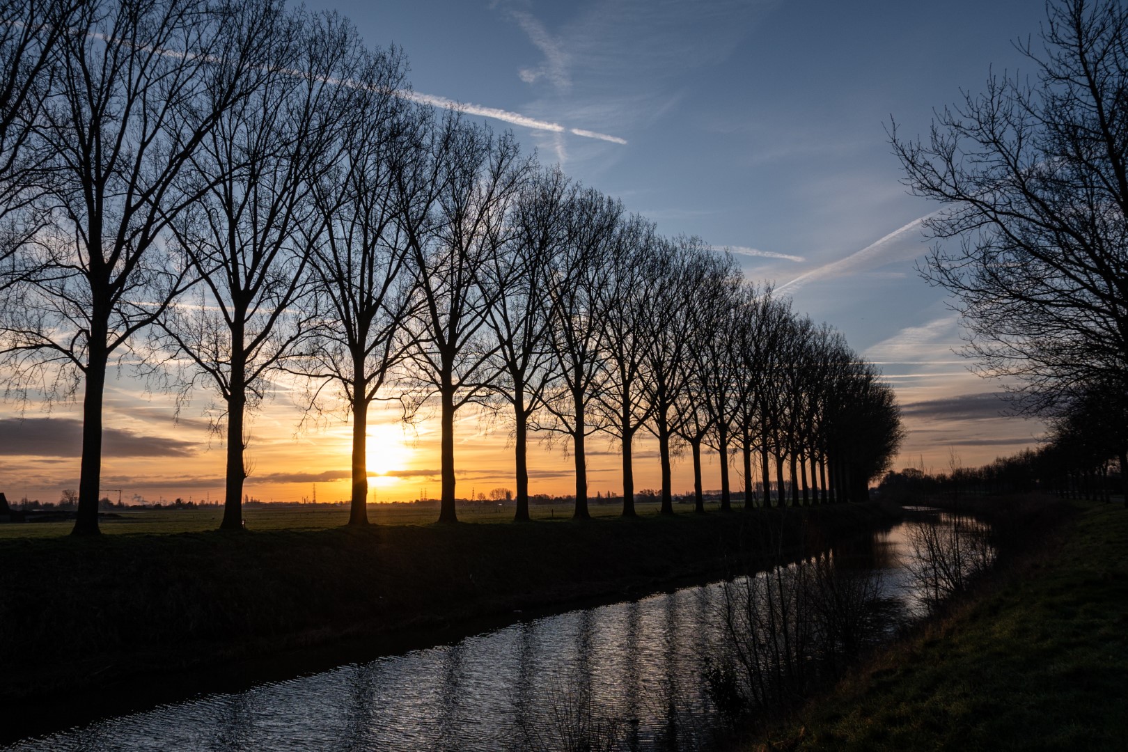 Week in beeld – week 7