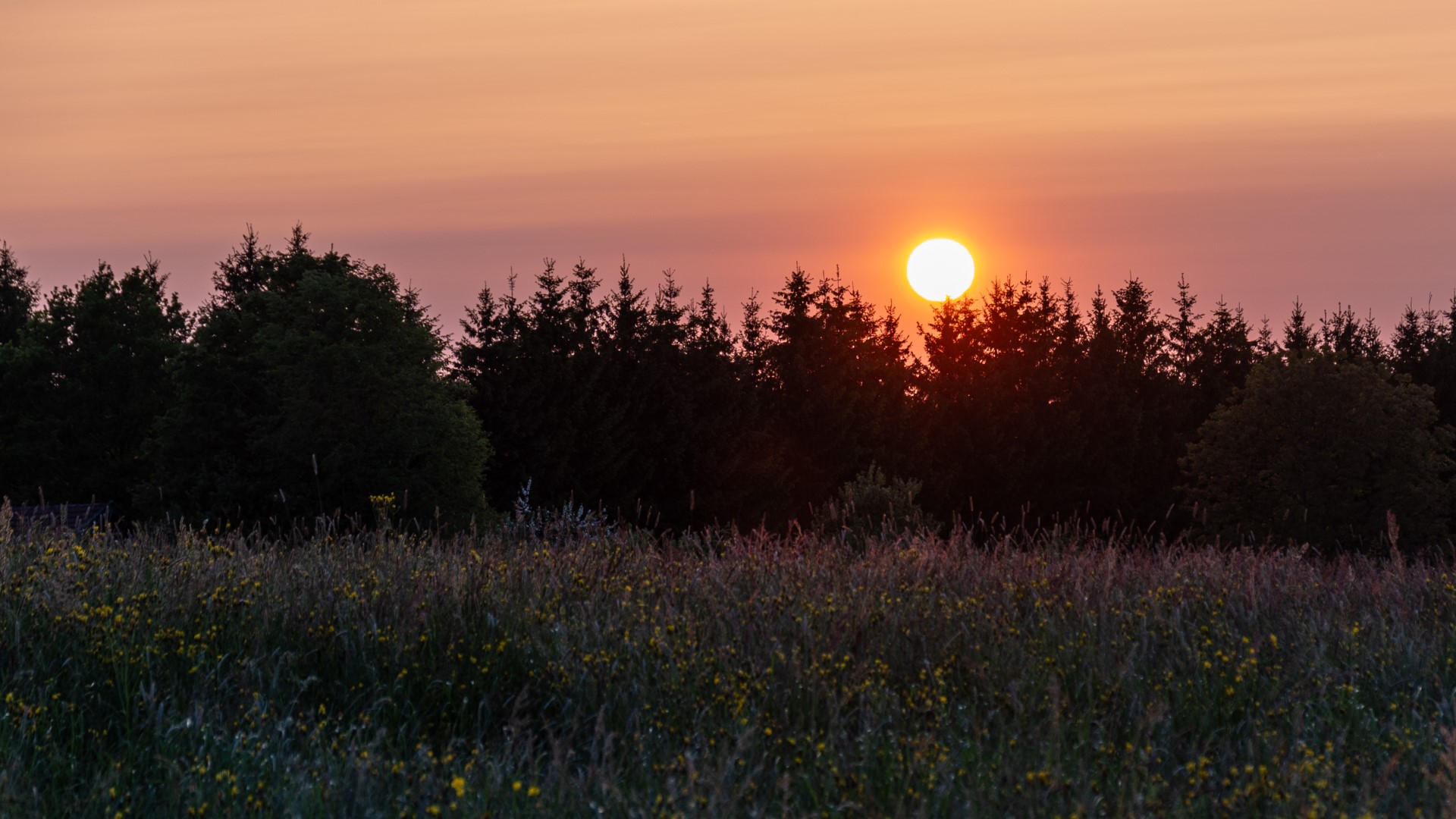 Terug naar ItaliÃ« (slot)