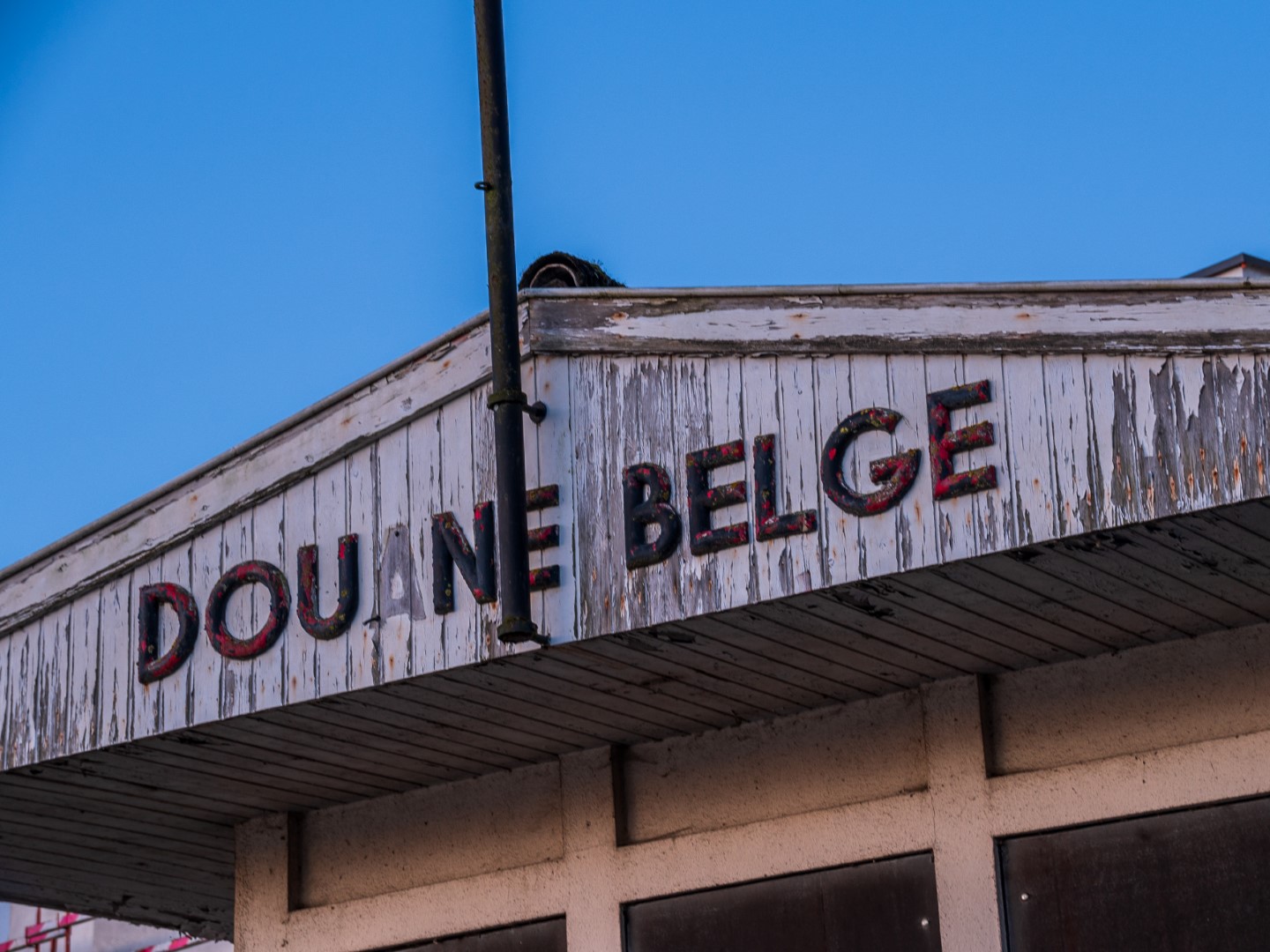 Week in beeld – week 11