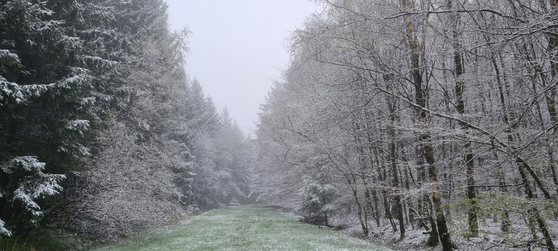 Week in beeld – week 17