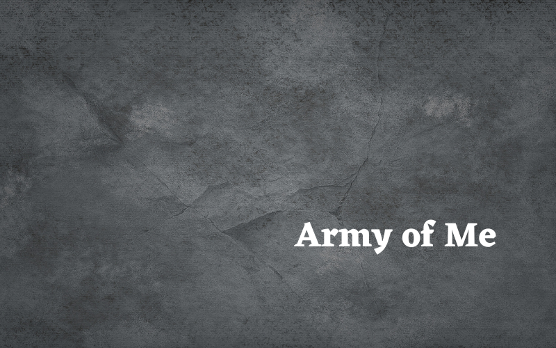 Army of Me #wedraaiendoor