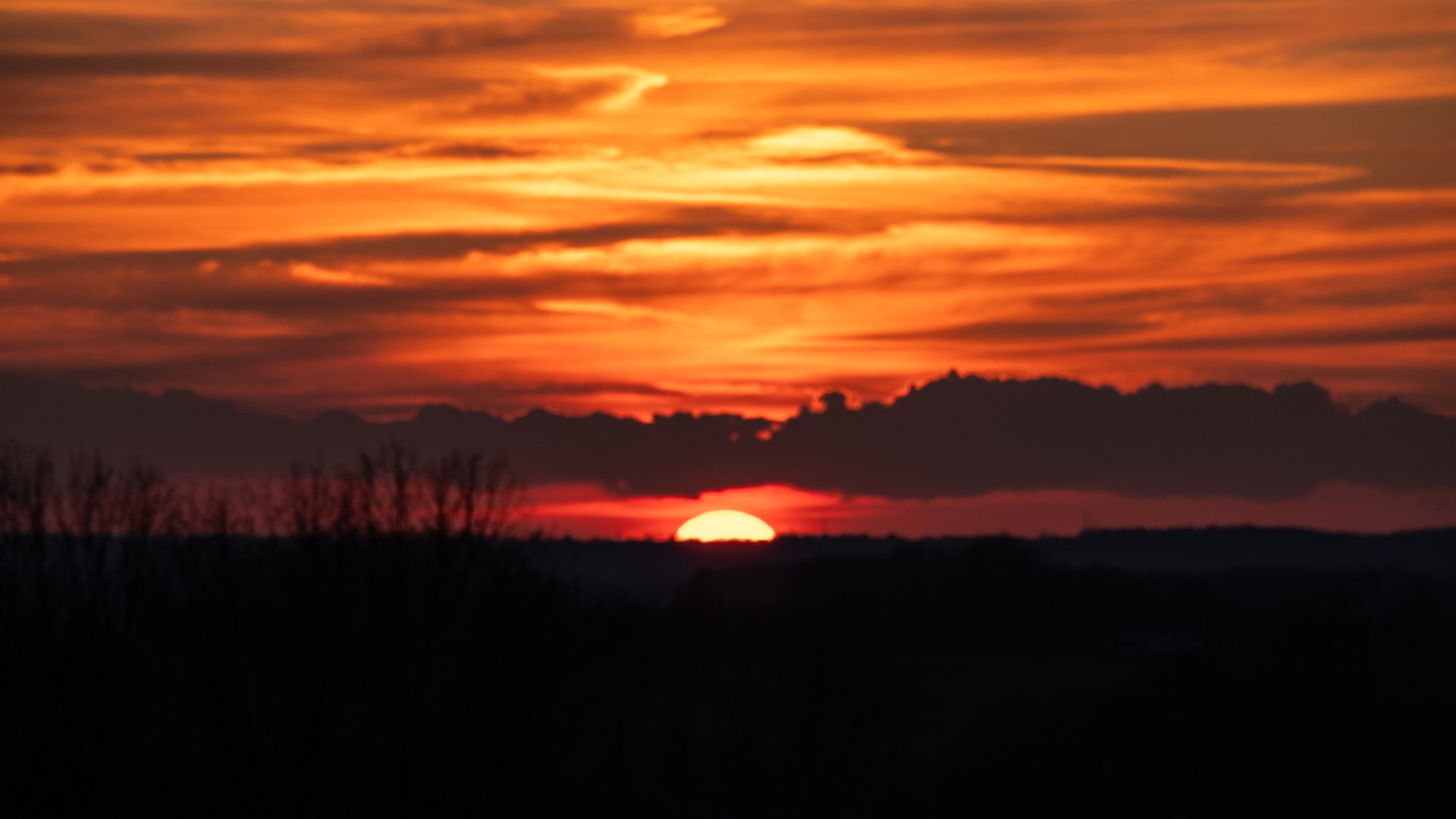 Week in beeld – week 14