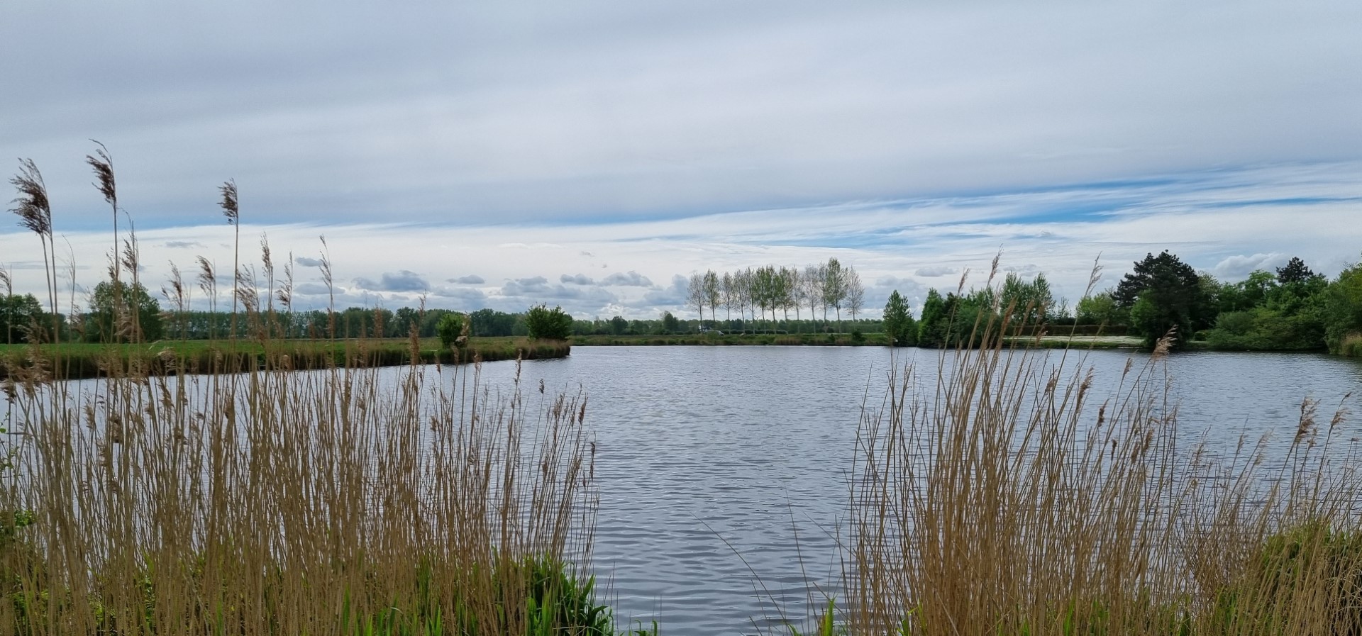 Week in beeld – week 19