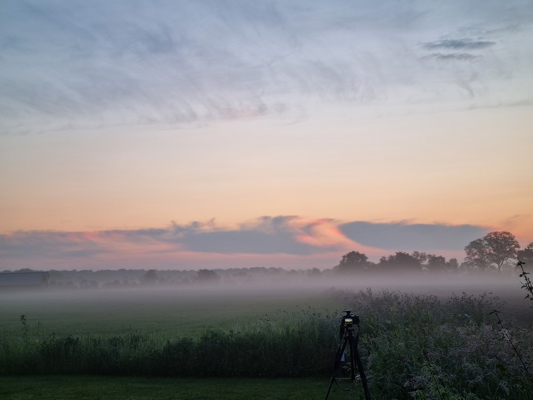 Week in beeld – week 22