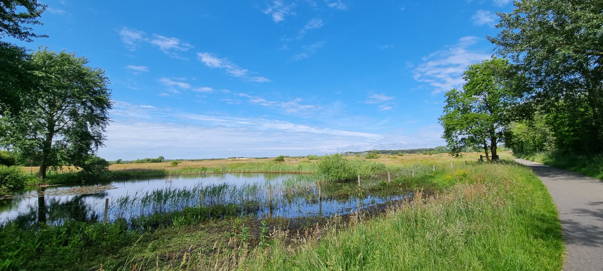 Week in beeld – week 24