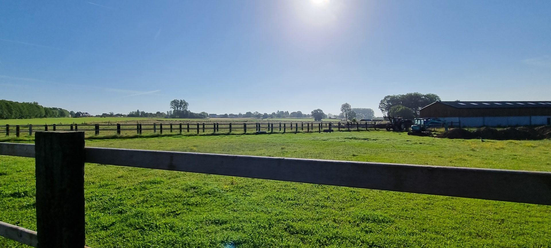 Week in beeld – week 26