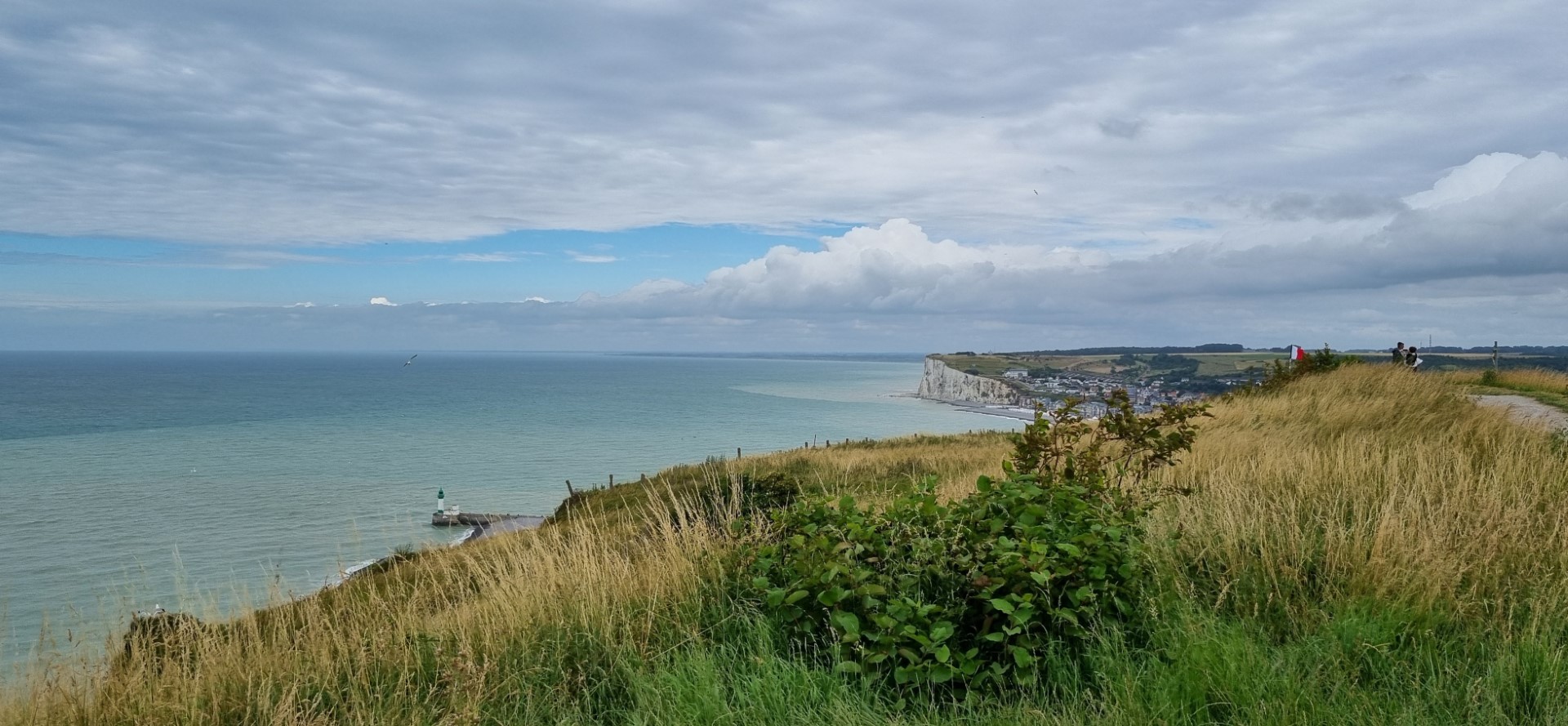 Week in beeld – week 28