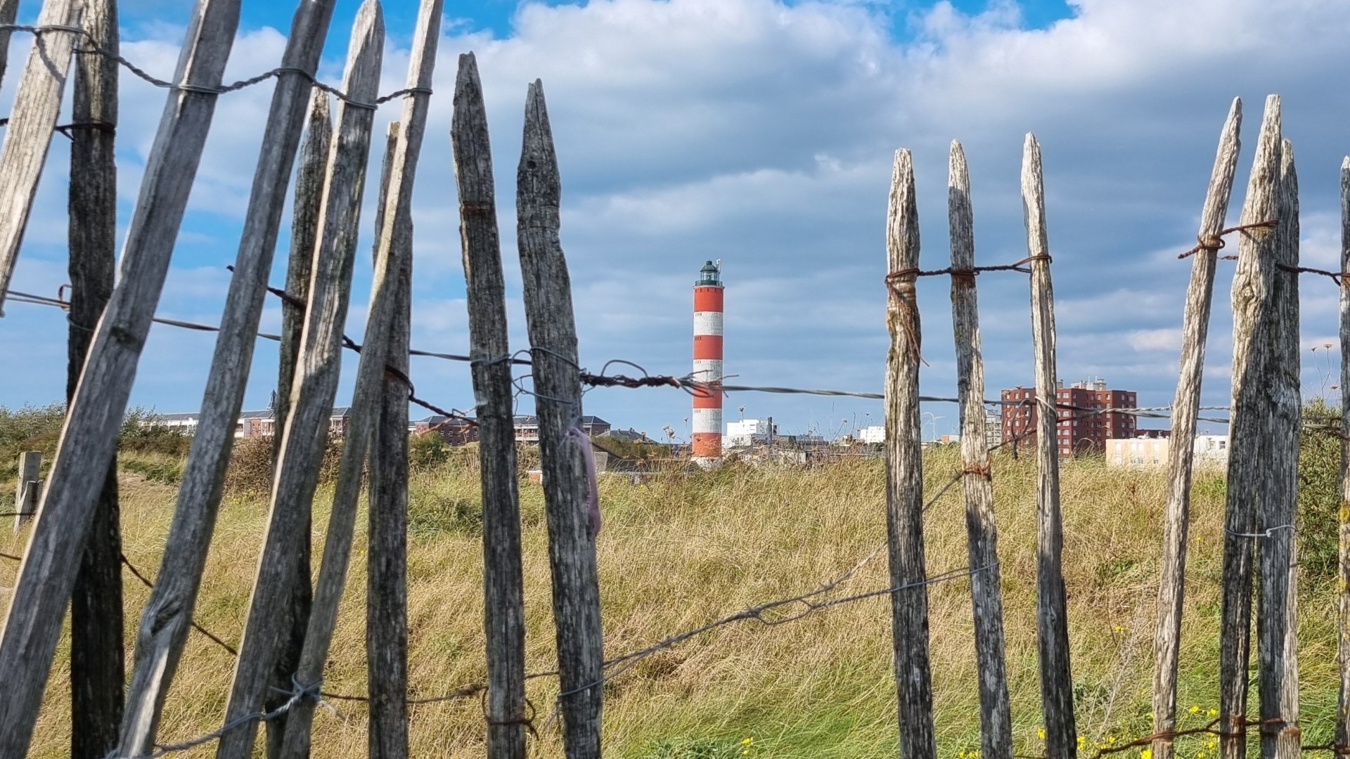 Week in beeld – week 40