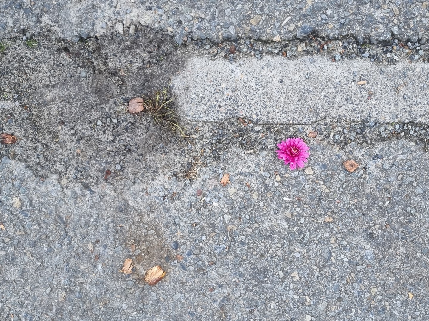 Week in beeld – week 42