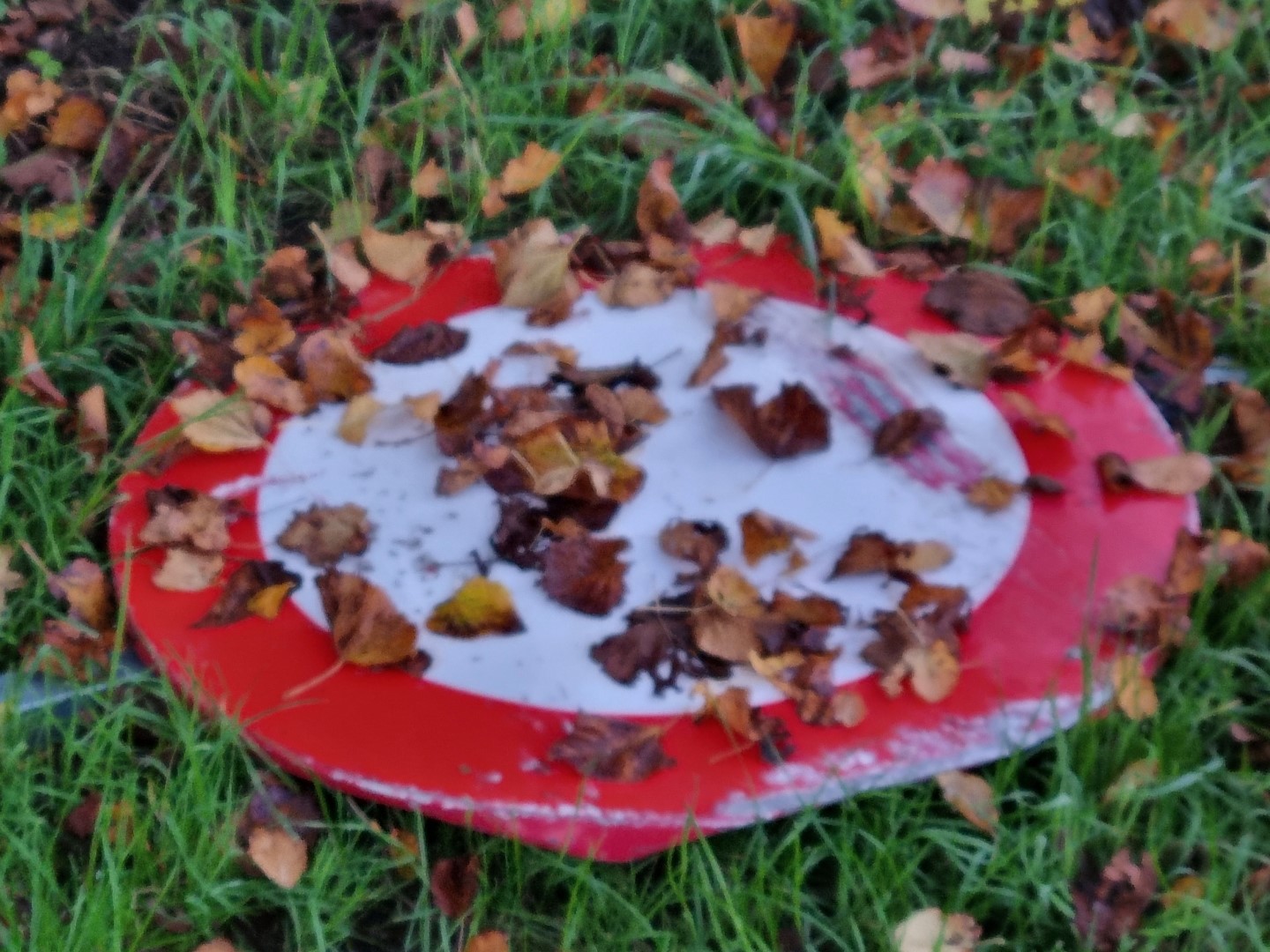 Week in beeld – week 43