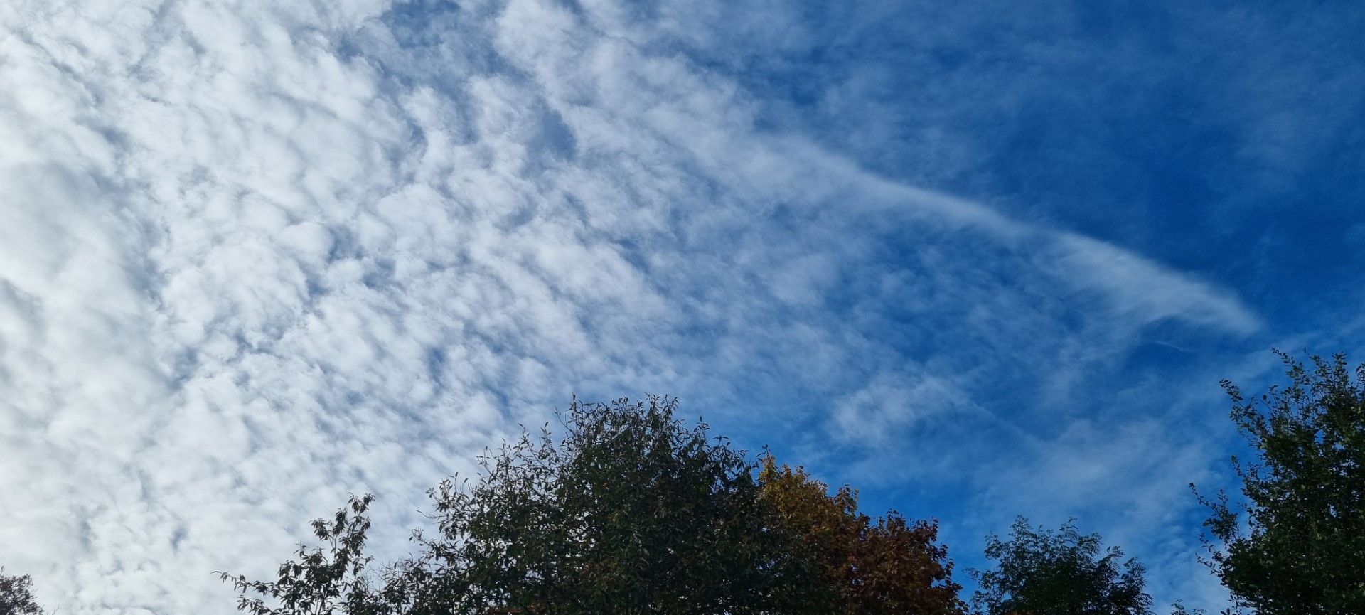 Week in beeld – week 44