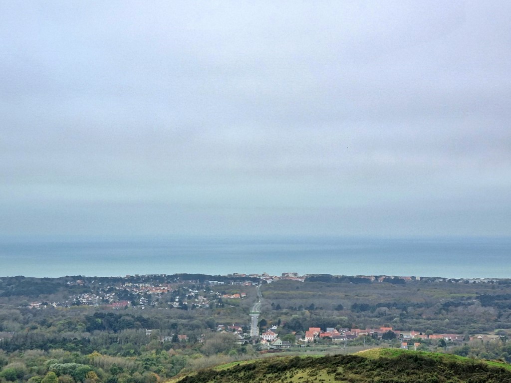 Week in beeld – week 45