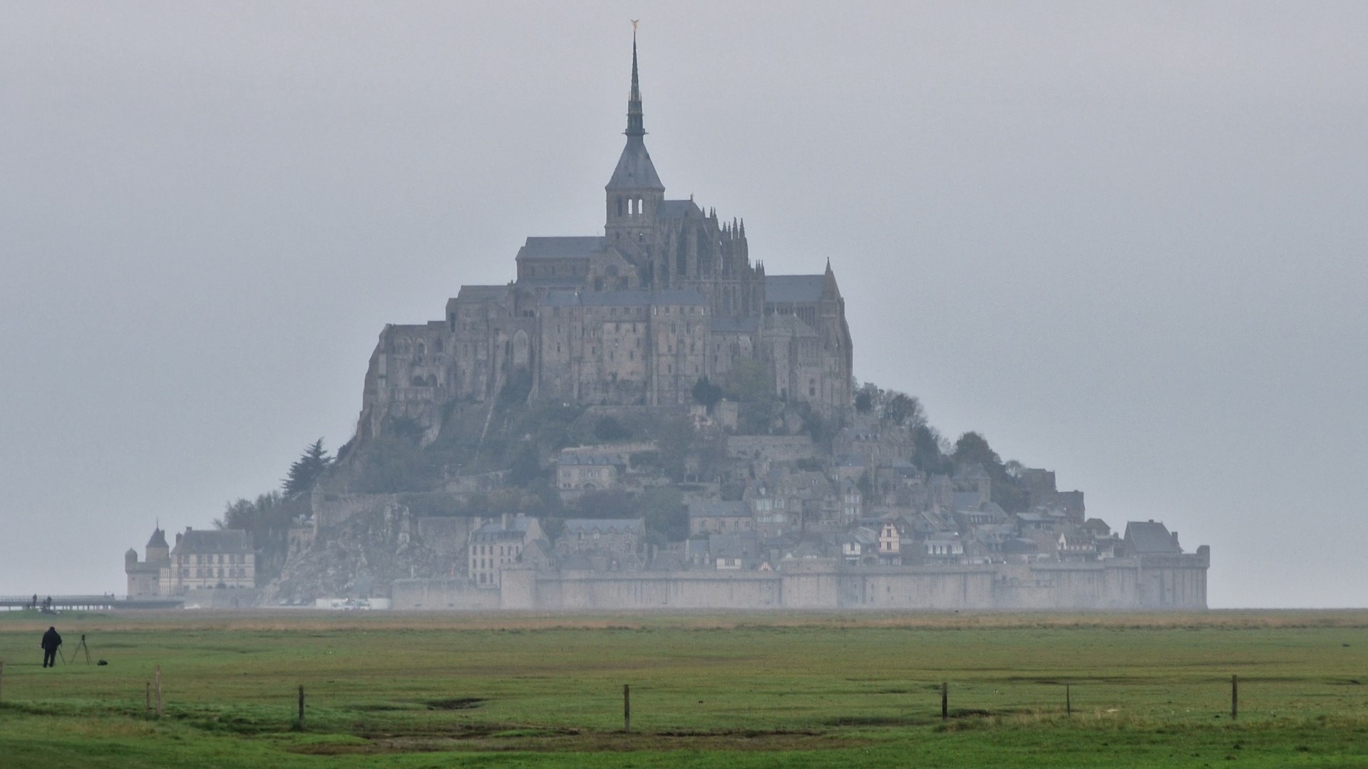 Week in beeld – week 46