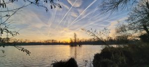 Week in beeld – week 49