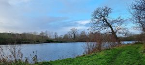 Week in beeld – week 50