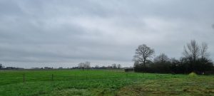 Week in beeld – week 51