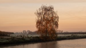 Zonsopgang Brielmeersen Deinze