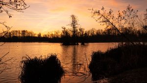 Zonsopgang Donkmeer Berlare