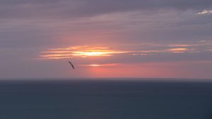 2024 in foto’s – deel 2