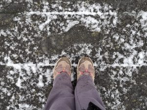 Week in beeld – week 2