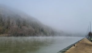 Week in beeld – week 6