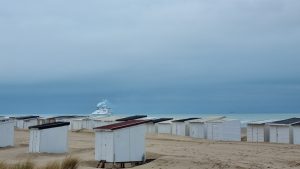 Week in beeld – week 7