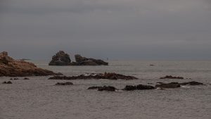 Roadtrip 2024 Revisited (4)