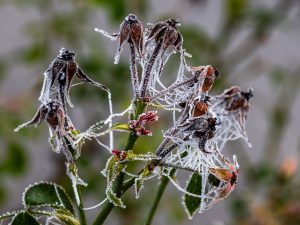 Mistwandeling in Fumay