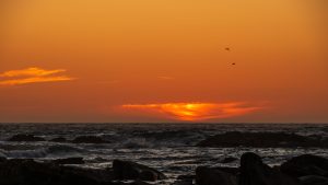 Roadtrip 2024 Revisited (2)