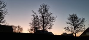 Week in beeld – week 10