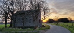 Week in beeld – week 12