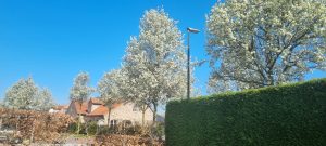 Week in beeld – week 14