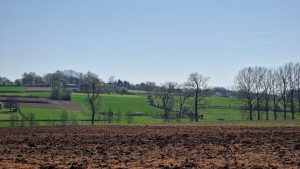 Week in beeld – week 15