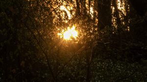 Zonsopgang in ’t Burreken