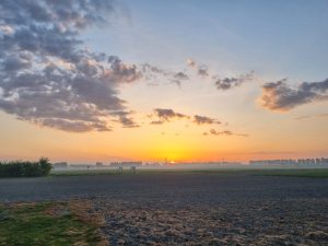 Week in beeld – week 18