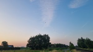 Week in beeld – week 25