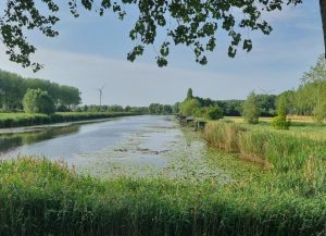 Week in beeld – week 26