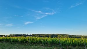 De Tour de France achterna – deel 1