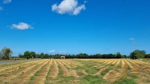 De Tour de France achterna? – deel 3