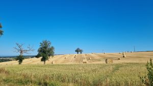 De Tour de France achterna – deel 4