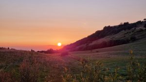 De Tour de France achterna – deel 6