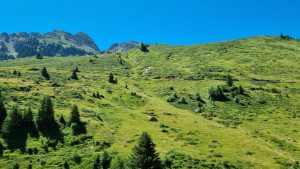 De Tour de France achterna – deel 7