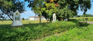 Week in beeld – week 33