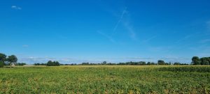 Week in beeld – week 35