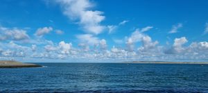 Week in beeld – week 36