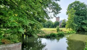 Week in beeld – week 37