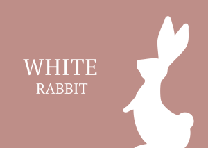 White Rabbit #wedraaiendoor