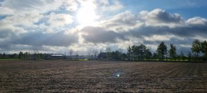 Week in beeld – week 43