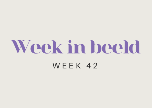 Week in beeld – week 42