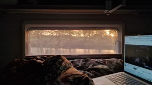 Week in beeld – week 44